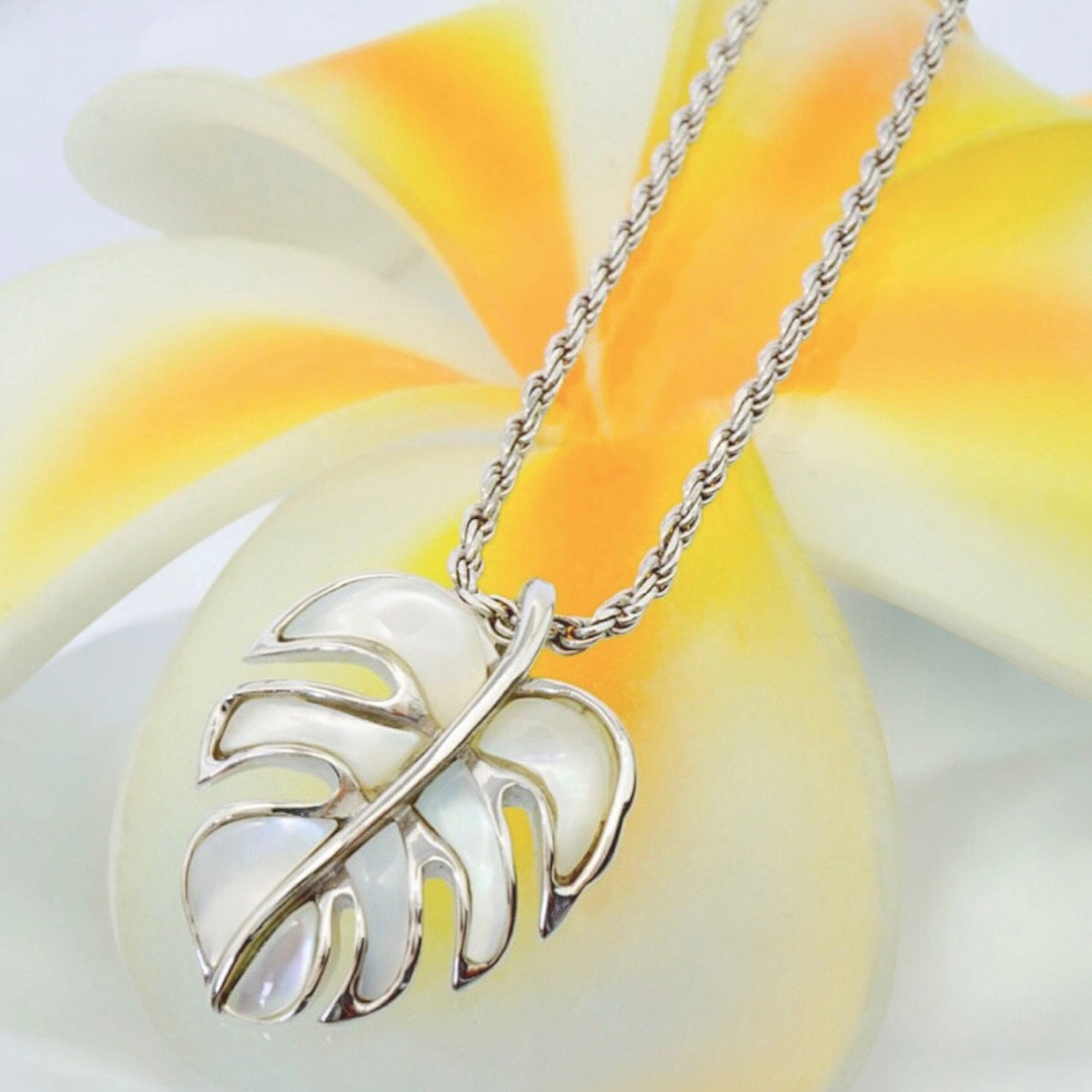 シェルモンステラペンダント 【2-1791】