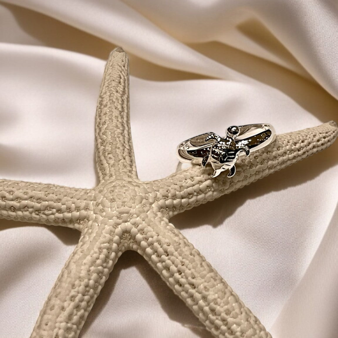 タートルトゥリング　【3-7044】